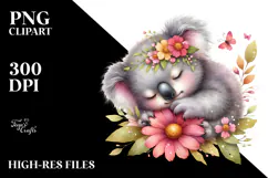 Adorable Baby Koala PNG Product Image 2