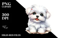 Baby Maltese with Big Eyes PNG Product Image 2