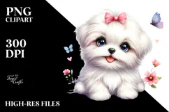 Baby Maltese with Big Eyes PNG Product Image 2