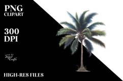 Sublimation|Clipart Product Image 1