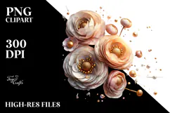 Shiny Ranunculus, Watercolor PNG Product Image 2