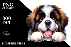 Cute Saint Bernard PNG Product Image 2