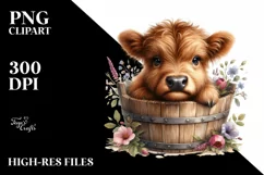 Cute Baby Highland Cow PNG Product Image 1