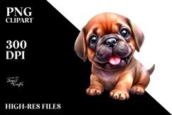 Cute Baby Mastiff, White Background Product Image 2