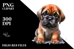 Expressive Baby Mastiff, PNG Product Image 2