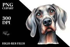 Watercolor Weimaraner Clipart Product Image 3