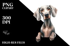 Watercolor Weimaraner Clipart Product Image 3