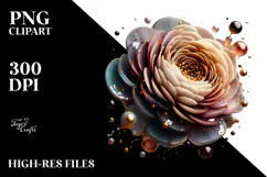 Abstract y Ranunculus, Transparent PNG Product Image 2