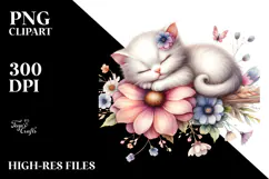 Sleeping Baby Cat on Flower PNG Product Image 2