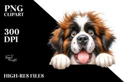 Crazy Looking Furr Saint Bernard | Clipart Product Image 3
