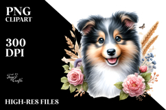 Baby Collie with Big Eyes PNG Product Image 2