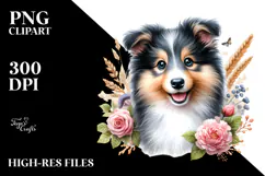 Baby Collie with Big Eyes PNG Product Image 2