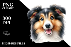 Baby Collie with Big Eyes PNG Product Image 2