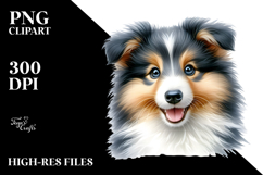 Baby Collie with Big Eyes PNG Product Image 2