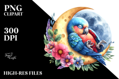 Baby Parrot Dressed and Sleeping PNG Product Image 2