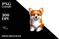 Cute Corgi at Sunset on Beach | Clipart Product Image 2