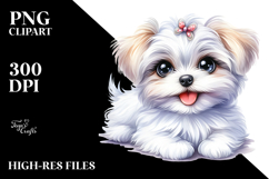 Happy Baby Maltese PNG Product Image 2