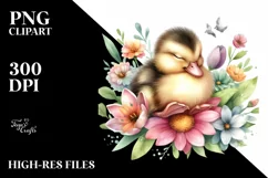 Cute Baby Duck Sleeping Watercolor Clipart Product Image 3