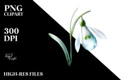 Snowdrop Made of Material, PNG Product Image 2