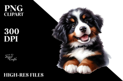 Baby Bernese Mountain Dog with Big Eyes PNG Product Image 2