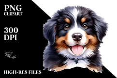 Baby Bernese Mountain Dog with Big Eyes PNG Product Image 2