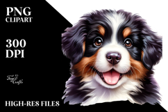 Baby Bernese Mountain Dog with Big Eyes PNG Product Image 2