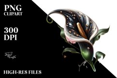 Glossy Calla Lily Art | Sublimation Clipart Product Image 1