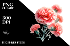 Washed Watercolor with Carnation | Clipart Product Image 2