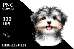 Cute Baby Havanese PNG Product Image 2