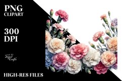 Colorful Carnation Frame, Transparent PNG Product Image 3