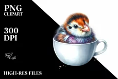 Vibrant Baby Guineafowl | Clipart Product Image 1