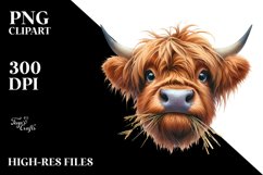 Disrespectful Cow Portrait Highland | Sublimation | Clipart Product Image 1