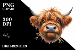 Disrespectful Cow Portrait Highland | Sublimation | Clipart Product Image 1