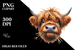 Disrespectful Cow Portrait Highland | Sublimation | Clipart Product Image 2