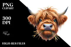 Disrespectful Cow Portrait Highland | Sublimation | Clipart Product Image 2