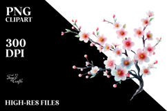 Cherry Blossom with Watercolor Splash PNG Product Image 2