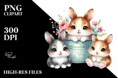 Baby Snowshoe Hare Sitting in a Bucket Product Image 1