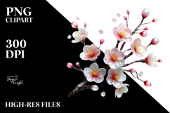 Cherry Blossom with Watercolor Splash PNG Product Image 2