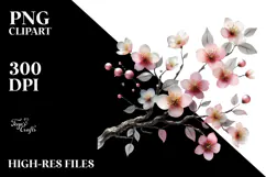 Cherry Blossom with Watercolor Splash PNG Product Image 2