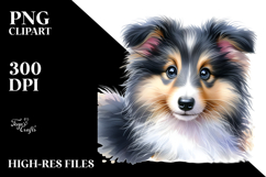 Happy Baby Collie with Big Eyes PNG Product Image 2