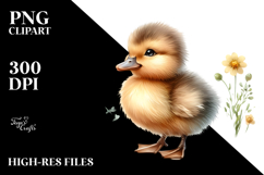 Digital Watercolor Baby Duck PNG Product Image 2