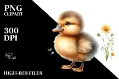 Digital Watercolor Baby Duck PNG Product Image 2