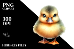 Digital Watercolor Baby Duck PNG Product Image 2