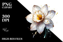 Detailed Shiny Watercolor Narcissus | Clipart Product Image 1