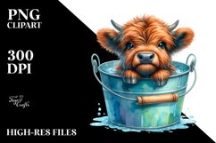 baby highland cow in a Watery Bucket Clipart Product Image 1
