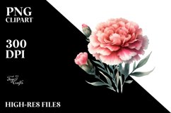 Vibrant Carnation Watercolor PNG Product Image 1