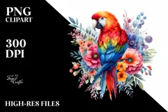 Floral Colorful Parrot | Sublimation | Clipart Product Image 3