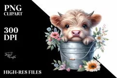 Cute Baby Highland Cow PNG Product Image 1
