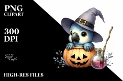 Cute Baby Macaw Popping Out PNG Product Image 3