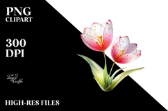 Tulip with Golden Insertions PNG Product Image 2